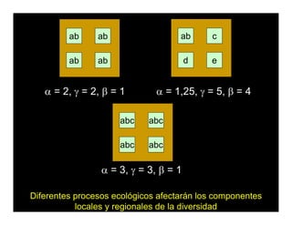 ab ab
ab ab
α = 2, γ = 2, β = 1
abc abc
abc abc
ab c
d e
α = 3, γ = 3, β = 1
α = 1,25, γ = 5, β = 4
Diferentes procesos ecológicos afectarán los componentes
locales y regionales de la diversidad
 