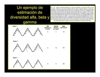 Un ejemplo de
estimación de
diversidad alfa, beta y
gamma
 