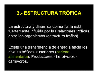 3.- ESTRUCTURA TRÓFICA
La estructura y dinámica comunitaria está
fuertemente influída por las relaciones tróficas
entre los organismos (estructura trófica)
Existe una transferencia de energía hacia los
niveles tróficos superiores (cadena
alimentaria). Productores - herbívoros -
carnívoros.
 