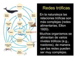 Redes tróficas
En la naturaleza las
relaciones tróficas son
más complejas (redes
alimentarias, Elton
1920).
Muchos organismos se
alimentan de varios
niveles tróficos (e.g.,
roedores), de manera
que las redes pueden
ser muy complejas.
 