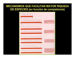 MECANISMOS QUE FACILITAN MAYOR RIQUEZA
DE ESPECIES (en función de competencia)
 