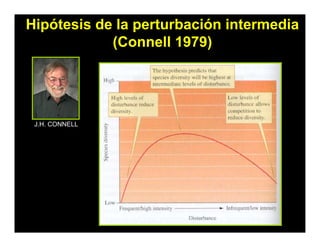 Hipótesis de la perturbación intermedia
(Connell 1979)
J.H. CONNELL
 