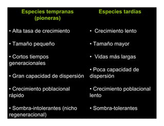 Especies tempranas
(pioneras)
• Alta tasa de crecimiento
• Tamaño pequeño
• Cortos tiempos
generacionales
• Gran capacidad de dispersión
• Crecimiento poblacional
rápido
• Sombra-intolerantes (nicho
regeneracional)
Especies tardías
• Crecimiento lento
• Tamaño mayor
• Vidas más largas
• Poca capacidad de
dispersión
• Crecimiento poblacional
lento
• Sombra-tolerantes
 