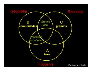 Geografía Recursos
Filogenia
A
taxa
B
comunidades
C
gremios
Gremio
local
Ensamble
taxonómico
Fauth et al. (1996)
 