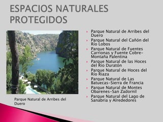 ESPACIOS NATURALES PROTEGIDOSParque Natural de Arribes del DueroParque Natural del Cañón del Río LobosParque Natural de Fuentes Carrionas y Fuente Cobre-Montaña PalentinaParque Natural de las Hoces del Río DuratónParque Natural de Hoces del Río RiazaParque Natural de Las Batuecas-Sierra de FranciaParque Natural de Montes Obarenes-San ZadornilParque Natural del Lago de Sanabria y AlrededoresParque Natural de Arribes del Duero