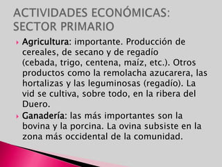 ACTIVIDADES ECONÓMICAS:SECTOR PRIMARIOAgricultura: importante. Producción de cereales, de secano y de regadío (cebada, trigo, centena, maíz, etc.). Otros productos como la remolacha azucarera, las hortalizas y las leguminosas (regadío). La vid se cultiva, sobre todo, en la ribera del Duero.Ganadería: las más importantes son la bovina y la porcina. La ovina subsiste en la zona más occidental de la comunidad.