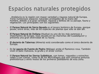       Andalucía es la región con mayor variedad y riqueza natural de Europa. Tiene numerosos espacios naturales protegidos de la mano del hombre, debido a la gran variedad, riqueza y belleza de su paisaje, fauna y vegetación. Los principales son los siguientes: El Parque Natural de Sierra Nevada es el tesoro botánico de Europa, porque posee, entre otras, más de 60 especies de plantas que sólo se dan allí.El Parque Natural de Doñana(Huelva) es uno de los más extensos e importantes de Europa. Está situado en las marismas del Guadalquivir y presenta una gran diversidad de su fauna. Eldesierto de Tabernas (Almería) está considerado como el único desierto de Europa.En la Laguna de Fuente de Piedra (Málaga) anida el flamenco rosa. También viven el pato malvasía, la grulla y el ánsar común. El Parque Natural las Sierras Subbéticas, con lomas, roquedos y estrechos valles y con cuevas, como la de los Murciélagos que aún conserva pinturas prehistóricas y otros restos de los primeros pobladores de esta zona. Espacios naturales protegidos