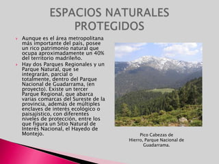 Aunque es el área metropolitana más importante del país, posee un rico patrimonio natural que ocupa aproximadamente un 40% del territorio madrileño.Hay dos Parques Regionales y un Parque Natural, que se integrarán, parcial o totalmente, dentro del Parque Nacional de Guadarrama, (en proyecto). Existe un tercer Parque Regional, que abarca varias comarcas del Sureste de la provincia, además de múltiples enclaves de interés ecológico o paisajístico, con diferentes niveles de protección, entre los que figura un Sitio Natural de Interés Nacional, el Hayedo de Montejo.ESPACIOS NATURALES PROTEGIDOSPico Cabezas de Hierro, Parque Nacional de Guadarrama.