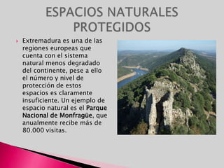 Extremadura es una de las regiones europeas que cuenta con el sistema natural menos degradado del continente, pese a ello el número y nivel de protección de estos espacios es claramente insuficiente. Un ejemplo de espacio natural es el Parque Nacional de Monfragüe, que anualmente recibe más de 80.000 visitas.ESPACIOS NATURALES PROTEGIDOS