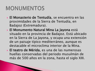 ACTIVIDADES ECONÓMICAS: SECTOR TERCIARIOEs el mayor peso en la economía, aunque esté poco desarrollado.Construcción y PYMES son la base de una economía que está desarrollando un comercio incipiente con las tierras vecinas de Portugal y que mantiene un alto grado de terciarización debido al auge que el turismo medioambiental y cultural está produciendo en los ámbitos rurales, tradicionalmente agrícolas, de su territorio.Sobresalen las actividades relacionadas con la Administración.El turismo está en expansión; destacan el rural y el artístico-rural.