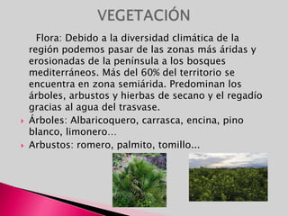 Los altiplanos: Espacios situados entre los 500 y los 1.000 metros se extienden por el noroeste y  el Noreste con pendientes poco acusadas, suelen aparecer pequeñas sierras con elevaciones importantes como el Carche.