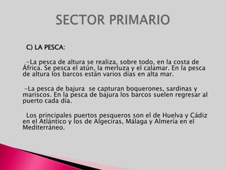      C) LA PESCA:     -La pesca de altura se realiza, sobre todo, en la costa de África. Se pesca el atún, la merluza y el calamar. En la pesca de altura los barcos están varios días en alta mar.     -La pesca de bajura  se capturan boquerones, sardinas y mariscos. En la pesca de bajura los barcos suelen regresar al puerto cada día.     Los principales puertos pesqueros son el de Huelva y Cádiz en el Atlántico y los de Algeciras, Málaga y Almería en el Mediterráneo.SECTOR PRIMARIO