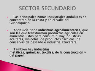     Las principales zonas industriales andaluzas se concentran en la costa y en el Valle del Guadalquivir.     Andalucía tiene industrias agroalimentarias, que son las que transforman productos agrícolas en alimentos listos para consumir. Hay industrias aceiteras, vinícolas, de productos cárnicos, de conservas de pescado e industria azucarera.     También hay industrias metálicas, químicas, textiles, de la construcción y del papel. SECTOR SECUNDARIO