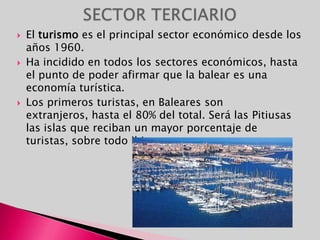 En Febrero se celebra el Carnaval en la playa de la Palma, de gran atractivo e intenso colorido.En Noviembre se celebra la Feria de Inca, célebre por su duración; tres domingos seguidos de fiestas y celebraciones. Justo al domingo siguiente se celebra la Fiesta de Santa María la Mayor, y al Jueves siguiente la Feria de DijousBo de maquinaria y ganado.En Semana Santa es de gran interés apreciar las bellas procesiones del Jueves y Viernes Santo en Sineu.