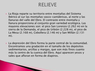 Actividades economicasEl fenómeno del turismo ha modificado el tipo de economía de las islas. Más de un 70% de la población (2001) se dedica al sector servicios. La industria de la zona es básicamente la del textil, el cuero y el calzado.población activa por sectores