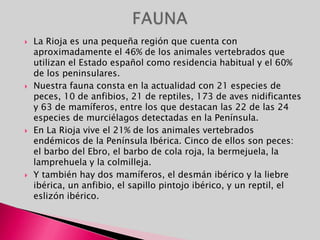 SECTOR TERCIARIOEl turismo es el principal sector económico desde los años 1960. Ha incidido en todos los sectores económicos, hasta el punto de poder afirmar que la balear es una economía turística. Los primeros turistas, en Baleares son extranjeros, hasta el 80% del total. Será las Pitiusas las islas que reciban un mayor porcentaje de turistas, sobre todo Ibiza. 