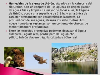 La Rioja es una comunidad autónoma de España situada en el norte de la Península Ibérica. Abarca parte del valle del Ebro en su zona septentrional y del Sistema Ibérico en el sur. La comunidad es uniprovincial, por lo que no existe Diputación y se encuentra organizada en 174 municipios. La capital es Logroño. Limita con el País Vasco al norte, Navarra al noreste, Aragón al sureste y Castilla y León al oeste y al sur.LOCALIZACIÓN