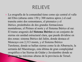 Aunque con una incidencia relativamente pequeña sobre el empleo (4,5%), el sector primario tiene en Navarra un importante valor sociológico y aporta una exquisita materia prima al sector agroindustrial.En la Ribera aumenta la extensión de la vid y proliferan los productos de la huerta, de fama bien ganada, que abastecen la tradicional e importante industria conservera de la comarca. Como testimonio del prestigio de la producción agrícola y ganadera, se puede mencionar las denominaciones de origen del queso de Idiazábal para la zona de Urbasa, queso del Roncal, espárragos de Navarra, pimientos del piquillo de Lodosa, y vino de Navarra en las clases de tinto, rosado y blanco. A éstas, cabe añadir la denominación de calidad "Ternera de Navarra".SECTOR PRIMARIO