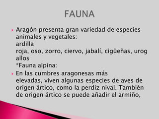 La fiesta más importante e internacionalmente conocida son los San Fermines. Han sido declaradas de Interés Internacional, se celebran del 6 al 14 de julio. Es la fiesta del Patrón de Pamplona, San Fermín.Día de Navarra: 3 de diciembre. Se celebran las fiestas patronales de San Francisco Javier.  FIESTAS