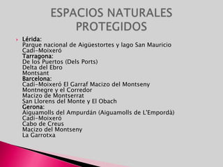 Con una clara influencia mudéjar, en algunos pueblos, el traje típico se compone de un pañuelo atado en la cabeza (cachirulo), calzones abiertos, una manta a modo de faja en la cintura y alpargatas para los hombres. Las mujeres llevan sayas anchas, un corpiño, calzón, medias caladas, mantón, delantal y alpargatas.Uno de los bailes y cantos populares es la jota, que es muy briosa y alegre. También perdura la música tradicional aragonesa, que utiliza instrumentos como el salterio (chicotén), el chiflo, la gaita aragonesa o gaita de boto, la dulzaina, el acordeón, etc.FIESTAS
