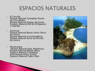 - El COCIDO MONTAÑÉS: - El COCIDO LEBANIEGO, la MARMITA de BONITO, el SORROPOTÚ- ALMEJAS a la MARINERA- MAGANOS ENCEBOLLADOS- RABAS- CACHÓN en su TINTA- La quesada pasiega- El sobao pasiego- El hojaldre-El orujo de Potes GASTRONOMÍA