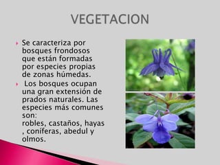 MONUMENTOSUniversidad Vieja. La colegiata románica de la iglesia de Santa María de Sar.El palacio Gelmírez.El magnífico Hotel Reyes Católicos, actualmente un lujoso Parador Nacional.Monasterio de San Lorenzo de Carboeiro.Torre de Hércules.Monasterio de Santa María de Armenteira.Monasterio de San Julián de Samos.Pazo de Oca.Catedral de Santiago de Compostela.Muraya de lugo.