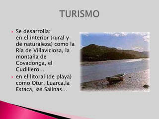 FAUNAEs variada y rica en especies poco comunes en el resto de España, como el oso pardo; hay también lobos, rebecos, corzos, jabalíes, zorros (raposos), águilas reales y una gran variedad de peces de ríos de aguas bravas. los salmones y las truchas pueblan nuestros ríos 
