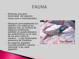 FIESTASSan Mateo: el 21 Septiembre, fiesta del patrono de Oviedo.Día de América en AsturiasMartes del Bollu o La Balesquida se comen los bolluspreñaus (bollo con un chorizo en su interior)Día de la Ascensión.Virgen de Begoña: 15 de Agosto, en Gijón fiesta patronal Semana Grande y Feria taurina, Ntra. Sra. de la Barca: 15 de Agosto, en Navia.Ntra. Sra. del Viso: 15 de Agosto, en Salas.El Desarme: fiesta gastronómica, en Oviedo. Fiesta del Pastor: fiesta en la que todos los pastores de la montaña se reunen. San Roque: en Llanes(descienden nadando la ría), Tineo.San Cosme y San Damián: declarada Interés Turístico.