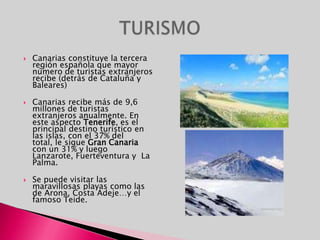 Presenta una gran diversidad  de especies comoaves e invertebrados.Destacan principalmente los reptiles y en especial los lagartos por su número de especies endémicas; también se puede destacar los endemismos en el caso de las aves como el canario… y una importante presencia de Cetáceos.los lagartos gigantes (Lacertagoliath y Lacertamaxima), o las ratas gigantes.FAUNA