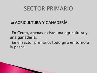     a) AGRICULTURA Y GANADERÍA:    En Ceuta, apenas existe una agricultura y una ganadería.     En el sector primario, todo gira en torno a la pesca.SECTOR PRIMARIO