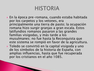 En la época pre-romana, cuando estaba habitada por los carpetos y los vetones, era principalmente una tierra de pasto; la ocupación romana hizo surgir granjas a gran escala. Estos latifundios romanos pasaron a las grandes familias visigodas, y más tarde a los musulmanes; no fue hasta la Reconquista que este sistema se rompió en favor de la agricultura.Toledo se convirtió en la capital visigoda y uno de los símbolos de la historia de España, con amplias influencias, hasta que fue recuperada por los cristianos en el año 1085.HISTORIA