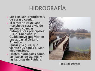 Los ríos son irregulares y de escaso caudal.El territorio castellano-manchego está dividido en cinco cuencas hidrográficas principales:-Tajo, Guadiana, y Guadalquivir que vierten sus aguas al Océano Atlántico.-Júcar y Segura, que vierten sus aguas al Mar Mediterráneo.Existen humedales como las Tablas de Daimiel y las lagunas de Ruidera.HIDROGRAFÍATablas de Daimiel