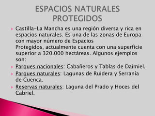 Castilla-La Mancha es una región diversa y rica en espacios naturales. Es una de las zonas de Europa con mayor número de Espacios Protegidos, actualmente cuenta con una superficie superior a 320.000 hectáreas. Algunos ejemplos son: Parques nacionales: Cabañeros y Tablas de Daimiel.Parques naturales: Lagunas de Ruidera y Serranía de Cuenca.Reservas naturales: Laguna del Prado y Hoces del Cabriel.ESPACIOS NATURALES PROTEGIDOS