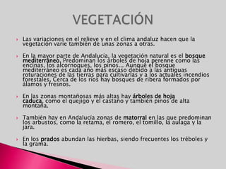 Las variaciones en el relieve y en el clima andaluz hacen que la vegetación varíe también de unas zonas a otras. En la mayor parte de Andalucía, la vegetación natural es el bosque mediterráneo. Predominan los árboles de hoja perenne como las encinas, los alcornoques, los pinos... Aunque el bosque mediterráneo es cada año más escaso debido a las antiguas roturaciones de las tierras para cultivarlas y a los actuales incendios forestales. Cerca de los ríos hay bosques de ribera formados por álamos y fresnos. En las zonas montañosas más altas hay árboles de hoja caduca, como el quejigo y el castaño y también pinos de alta montaña. También hay en Andalucía zonas de matorral en las que predominan los arbustos, como la retama, el romero, el tomillo, la aulaga y la jara. En los prados abundan las hierbas, siendo frecuentes los tréboles y la grama. VEGETACIÓN