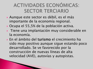 Aunque este sector es débil, es el más importante de la economía regional. Ocupa el 55,5% de la población activa. Tiene una implantación muy considerable en la economía.En el ámbito del turismo el crecimiento ha sido muy positivo aunque sigue estando poco desarrollado. Se ve favorecido por la construcción de nuevas líneas de alta velocidad (AVE), autovías y autopistas.ACTIVIDADES ECONÓMICAS: SECTOR TERCIARIO