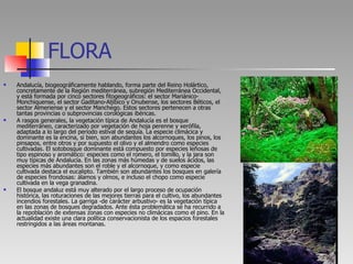 FLORA <ul><li>Andalucía, biogeográficamente hablando, forma parte del Reino Holártico, concretamente de la Región mediterr...