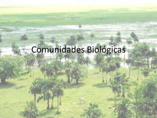Comunidades Biológicas
 