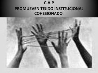 C.A.P
PROMUEVEN TEJIDO INSTITUCIONAL
       COHESIONADO.
 