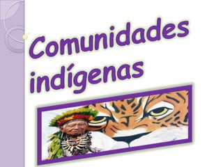 Comunidades indígenas 