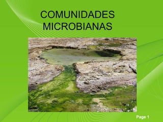 Page 1
COMUNIDADES
MICROBIANAS
 