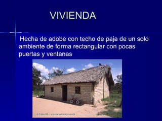 VIVIENDA Hecha de adobe con techo de paja de un solo ambiente de forma rectangular con pocas puertas y ventanas  