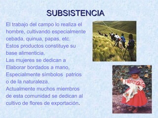 El trabajo del campo lo realiza el hombre, cultivando especialmente cebada, quinua, papas, etc. Estos productos constituye su base alimenticia. Las mujeres se dedican a Elaborar bordados a mano,  Especialmente símbolos  patrios o de la naturaleza. Actualmente muchos miembros de esta comunidad se dedican al cultivo de flores de exportación .  SUBSISTENCIA 
