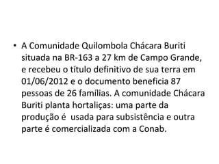 • A Comunidade Quilombola Chácara Buriti
situada na BR-163 a 27 km de Campo Grande,
e recebeu o título definitivo de sua terra em
01/06/2012 e o documento beneficia 87
pessoas de 26 famílias. A comunidade Chácara
Buriti planta hortaliças: uma parte da
produção é usada para subsistência e outra
parte é comercializada com a Conab.
 