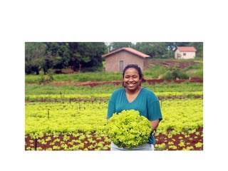 Comunidades quilombolas em ms