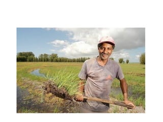 Comunidades quilombolas em ms