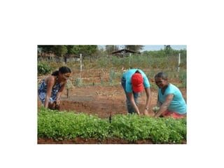 Comunidades quilombolas em ms