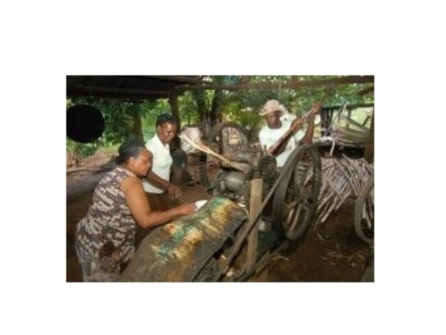 Comunidades quilombolas em ms