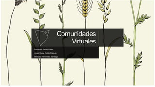 Comunidades
Virtuales
Fernanda Jacinto Pérez
Anaid Dulce Cedillo Cástulo
Nereyda Hernández Santiago
 