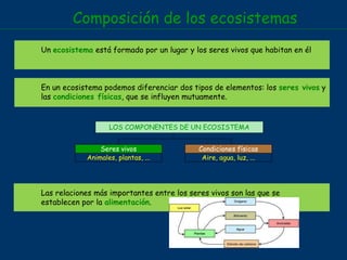 Composición de los ecosistemas
Un ecosistema está formado por un lugar y los seres vivos que habitan en él
Las relaciones más importantes entre los seres vivos son las que se
establecen por la alimentación.
En un ecosistema podemos diferenciar dos tipos de elementos: los seres vivos y
las condiciones físicas, que se influyen mutuamente.
LOS COMPONENTES DE UN ECOSISTEMA
Seres vivos Condiciones físicas
Animales, plantas, ... Aire, agua, luz, ...
 