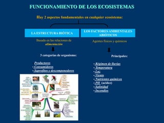 Hay 2 aspectos fundamentales en cualquier ecosistema:
LOS FACTORES AMBIENTALES
ABIÓTICOS
LA ESTRUCTURA BIÓTICA
3 categorías de organismo:
 Productores
 Consumidores
 Saprofitos y descomponedores
Basada en las relaciones de
alimentación
Principales:
 Régimen de lluvias
 Temperatura
 Luz
 Viento
 Nutrientes químicos
 PH (acidez)
 Salinidad
 Incendios
Agentes físicos y químicos.
FUNCIONAMIENTO DE LOS ECOSISTEMAS
 